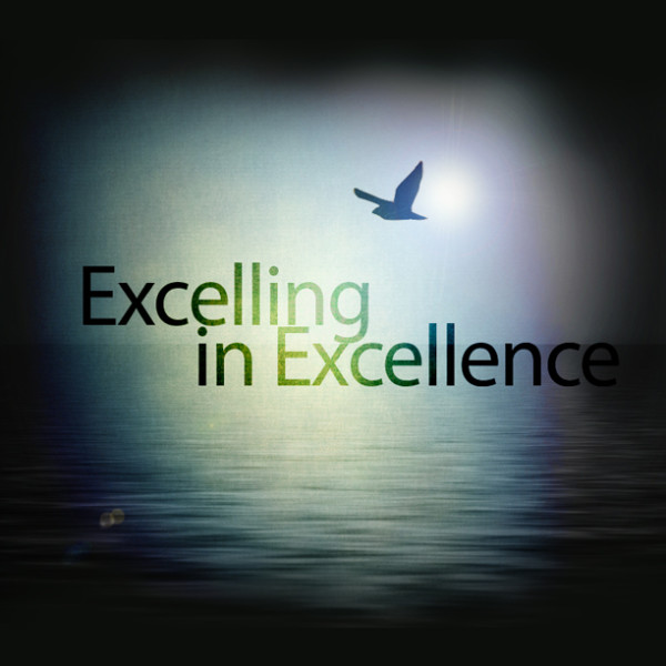 Excelling In Excellence CD Series